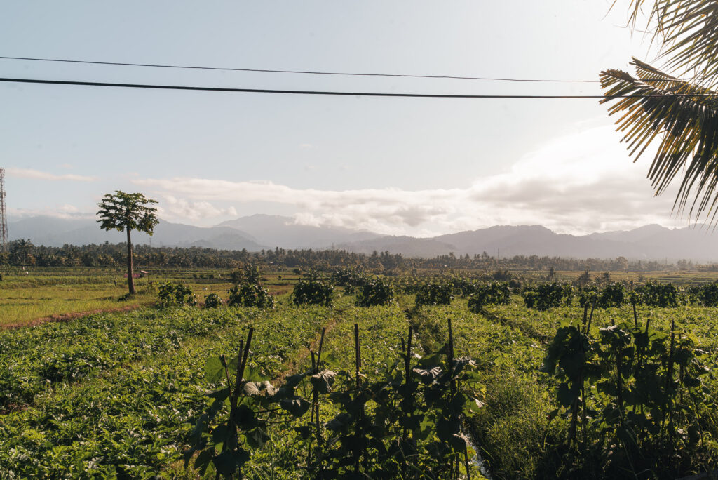 20250802 kombaliride 43