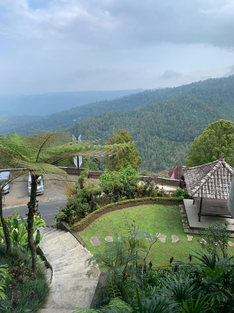 whatsapp image 2025 08 20 at 14.19.49 (1)